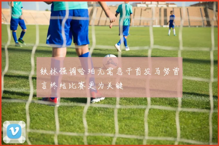 铁林强调哈珀无需急于首发马努曾言终结比赛更为关键
