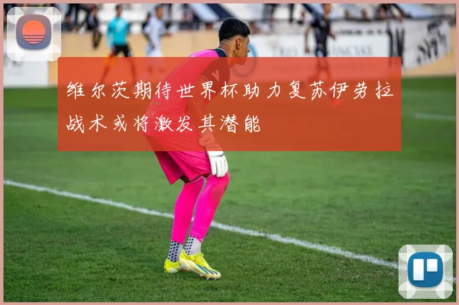 维尔茨期待世界杯助力复苏伊劳拉战术或将激发其潜能